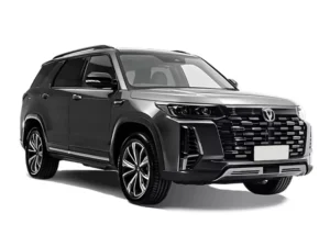 CS95 (II) новый